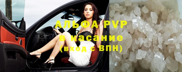 стафф Каменногорск