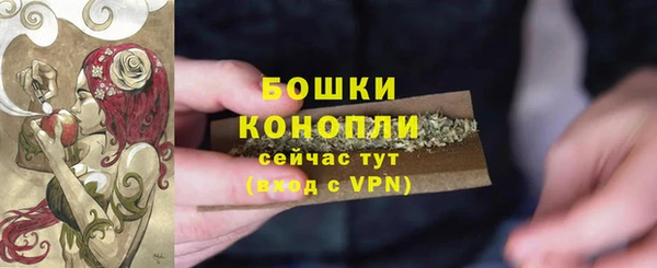 стафф Каменногорск