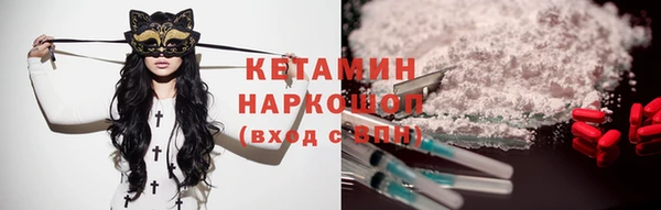 стафф Каменногорск