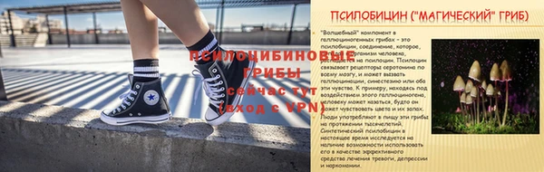 стафф Каменногорск