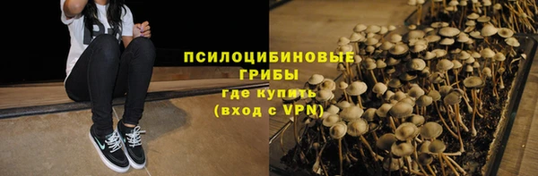 МДМА Каменка