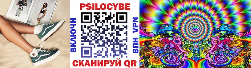 купить   Струнино  Галлюциногенные грибы прущие грибы 